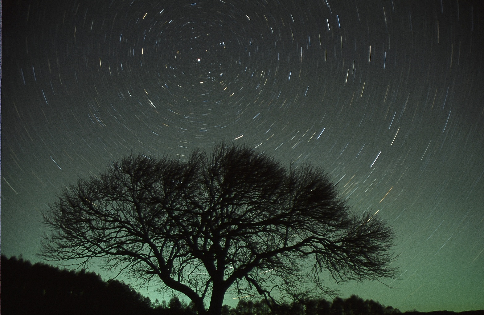 コピー ～ 66900001.JPG