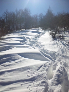 雪登山道.jpg