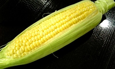corn080824.jpg