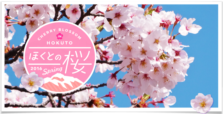 feature_banner_top_sakura.png