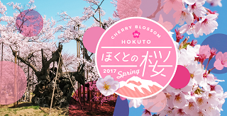 feature_banner_top_sakura2017.png