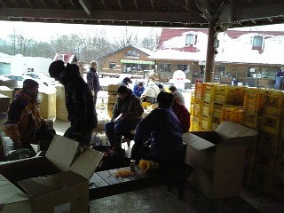 ice candle080128.jpg