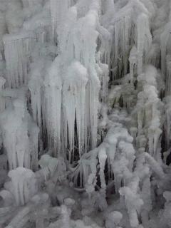 ice101228.JPG