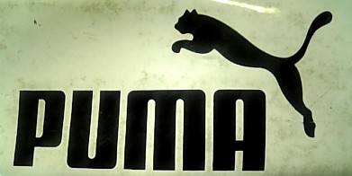 puma2090211.jpg