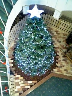 tree07.jpg