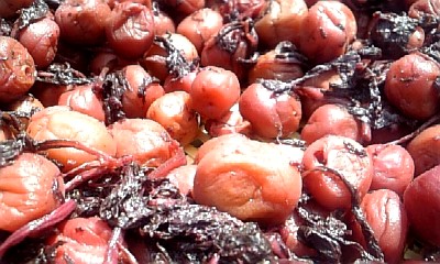 umeboshi080723.jpg