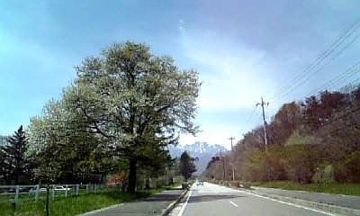 yamanashi090510.jpg