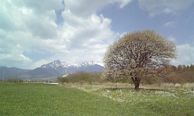 yamanashi090514.jpg
